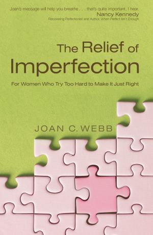 Cover of the book The Relief of Imperfection by Janette Oke