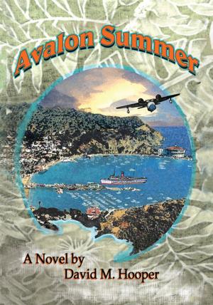 Cover of the book Avalon Summer by L. Roo McKenzie