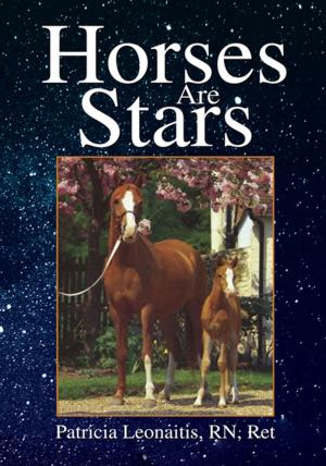 Cover of the book Horses Are Stars by Nicole Jalonen