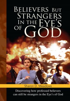 Cover of the book Believers but Strangers in the Eye's of God by D. Chris Buttars