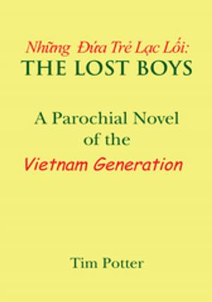 Cover of the book The Lost Boys by Barbara Meadows