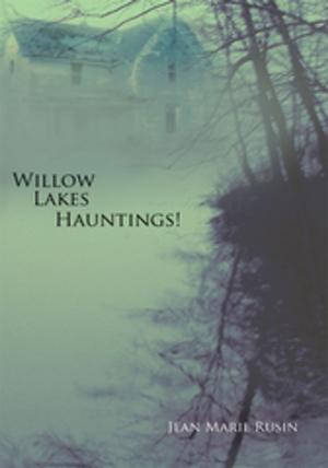 bigCover of the book Willow Lakes Hauntings! by 