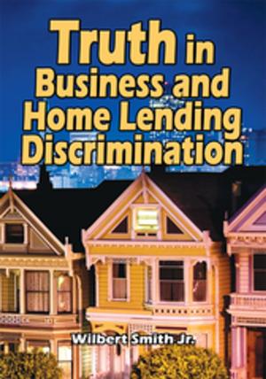 Cover of the book Truth in Business and Home Lending Discrimination by DANIEL J. THERON