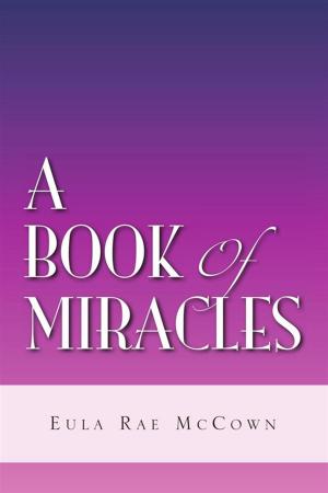 Cover of the book A Book of Miracles by David Goulet
