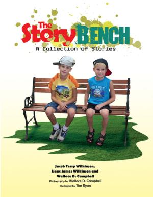 Book cover of The Story Bench