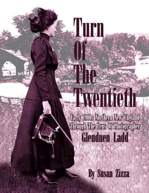 Cover of the book Turn of the Twentieth by Mary Heyn