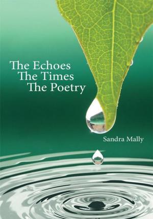 Cover of the book The Echoes the Times the Poetry by R K Baessler