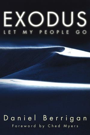 Cover of the book Exodus by Todd Hobart
