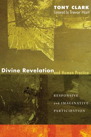 Cover of the book Divine Revelation and Human Practice by Jonathan R. Wilson