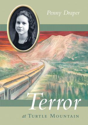 Book cover of Terror at Turtle Mountain