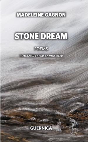 Cover of the book Stone Dream by Richard Lee