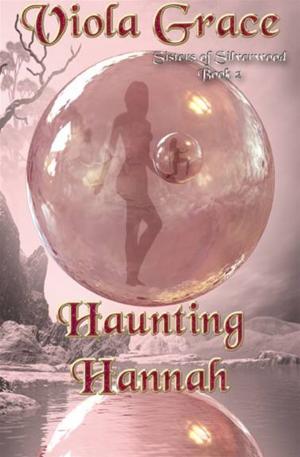 Cover of the book Haunting Hannah by M.C.A. Hogarth