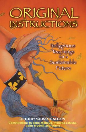 Cover of the book Original Instructions by Donna Maltz