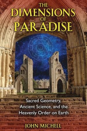 Cover of the book The Dimensions of Paradise by Robert Mitchell Jr