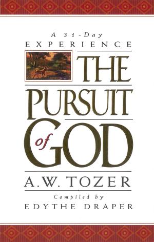 Cover of the book Pursuit of God: A 31-Day Experience by Sandy David Kirk