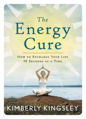 Book cover of The Energy Cure
