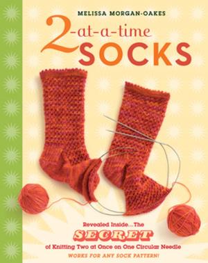 Cover of the book 2-at-a-Time Socks by Ann Larkin Hansen