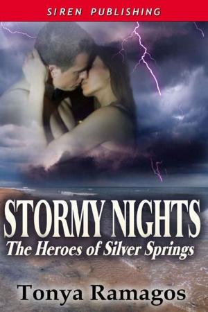 Cover of the book Stormy Nights by Jana Downs