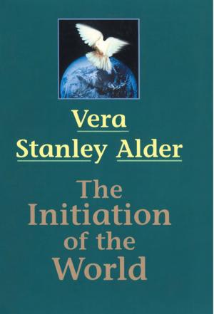 Cover of the book Initiation of the World by Ardy Sixkiller Clarke