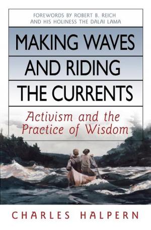 Cover of the book Making Waves and Riding the Currents by Richard J. Leider, David A. Shapiro