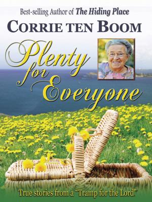 bigCover of the book Plenty for Everyone by 