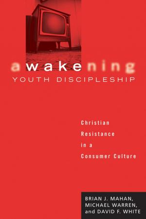 Cover of the book Awakening Youth Discipleship by Vincent J. Pastro