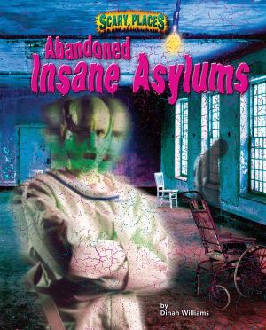 Cover of the book Abandoned Insane Asylums by Joyce Markovics