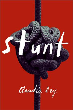 Cover of the book Stunt by Andrew Battershill