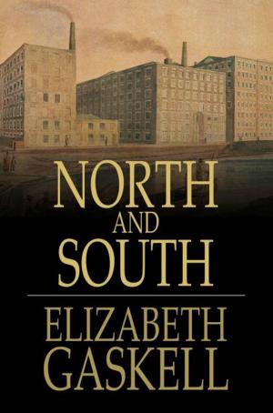 Cover of the book North And South by John Henry Goldfrap