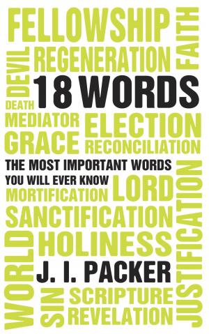 Cover of 18 Words