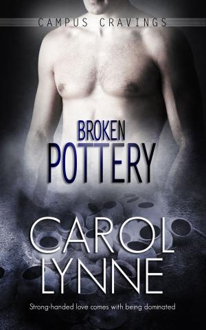 Cover of the book Broken Pottery by Sierra Cartwright