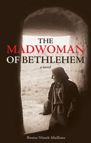 Cover of the book The Madwoman of Bethlehem by Christina Minaki