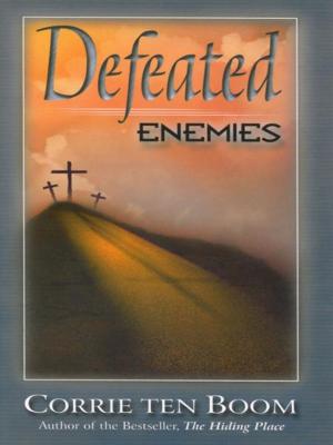 Cover of the book Defeated Enemies by John Calvin