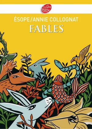 Book cover of Fables