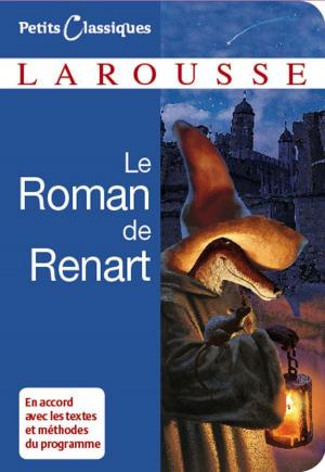 Cover of the book Le roman de Renart by Renaud Thomazo