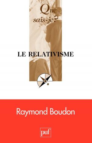 Book cover of Le relativisme