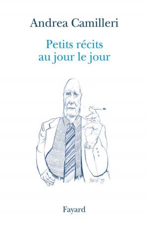 Cover of the book Petits récits au jour le jour by Jean-Claude Perrier