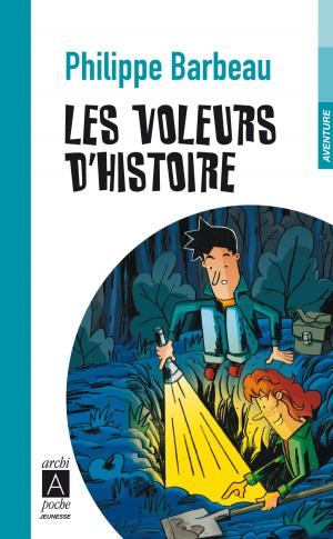 Book cover of Les voleurs d'histoire