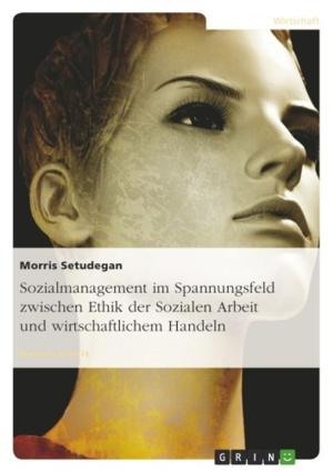 Cover of the book Sozialmanagement im Spannungsfeld zwischen Ethik der Sozialen Arbeit und wirtschaftlichem Handeln by Stefanie Hain