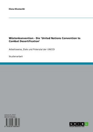 Book cover of Wüstenkonvention - Die 'United Nations Convention to Combat Desertification'