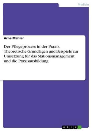 Cover of the book Der Pflegeprozess in der Praxis. Theoretische Grundlagen und Beispiele zur Umsetzung für das Stationsmanagement und die Praxisausbildung by Adalbert Rabich