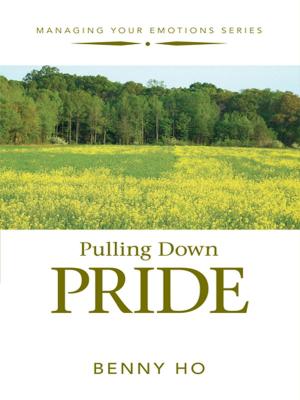 Cover of the book Pulling Down Pride by Daniel Tong