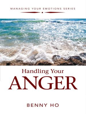 Cover of the book Handling Your Anger by Mitch Horowitz