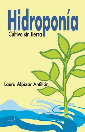 Cover of Hidroponía. Cultivo sin tierra