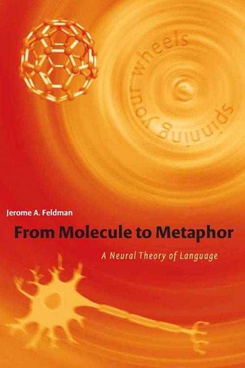 Cover of the book From Molecule to Metaphor by Jerome Feldman, The MIT Press