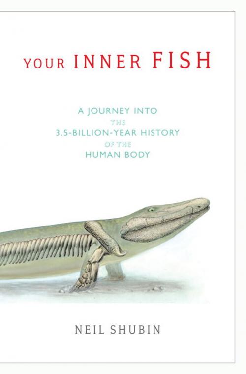 Cover of the book Your Inner Fish by Neil Shubin, Knopf Doubleday Publishing Group