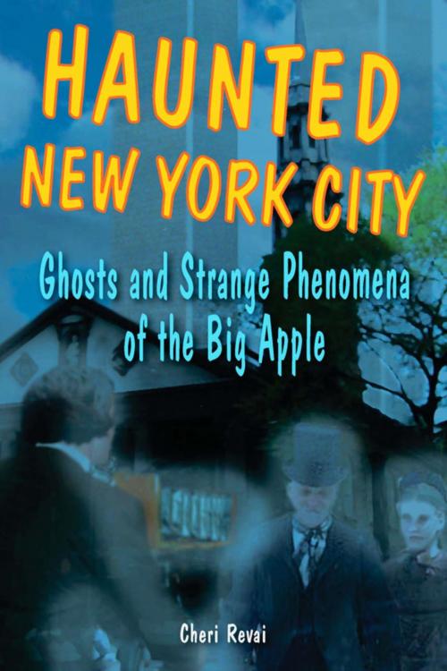 Cover of the book Haunted New York City by Cheri Farnsworth, Stackpole Books