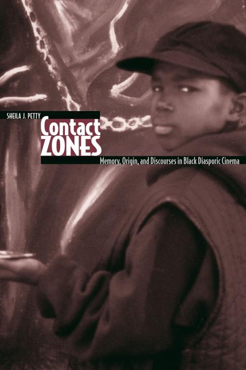 Cover of the book Contact Zones by Sheila J. Petty, Wayne State University Press