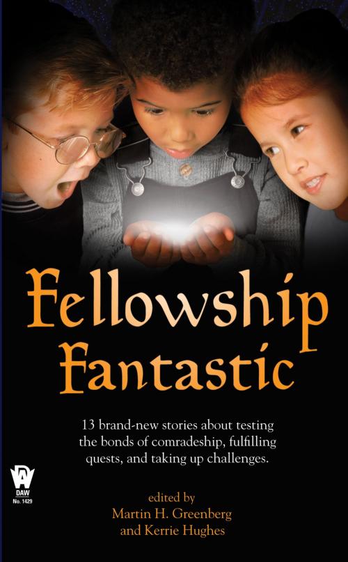 Cover of the book Fellowship Fantastic by , DAW