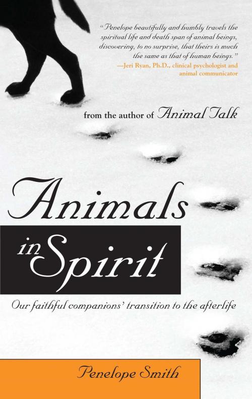 Cover of the book Animals in Spirit by Penelope Smith, Atria Books/Beyond Words
